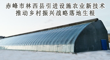 赤峰市林西縣引進設施農業(yè)新技術推動鄉(xiāng)村振興戰(zhàn)略落地生根